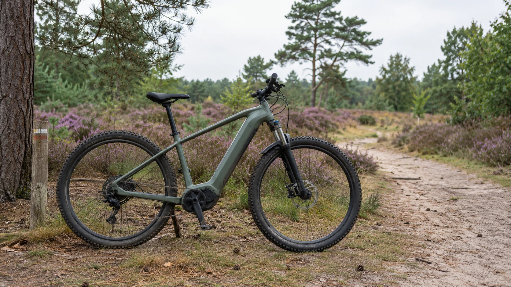 De beste elektrische mountainbike van 2026